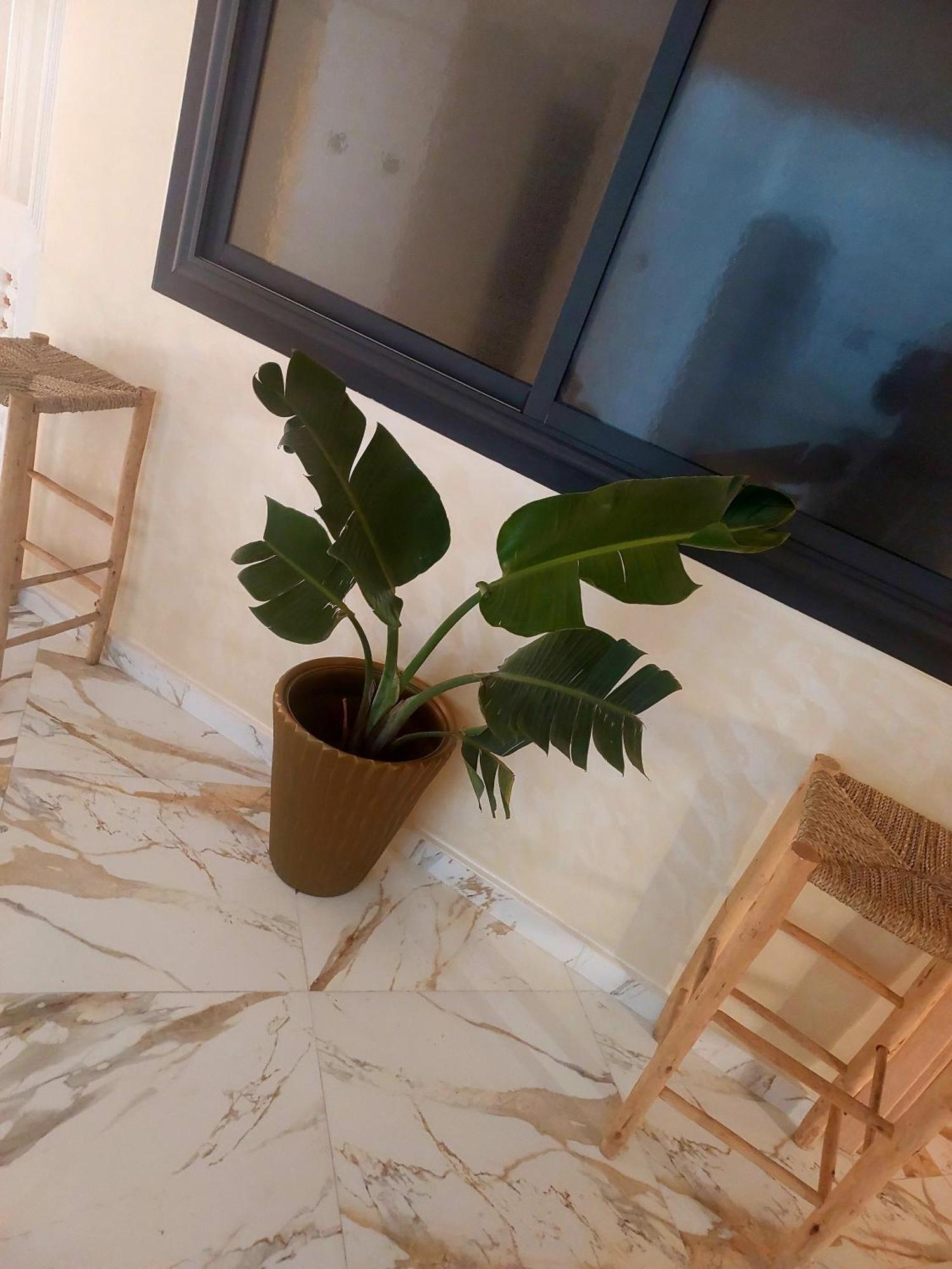 Mogador Appartements T6 Essaouira Exteriör bild