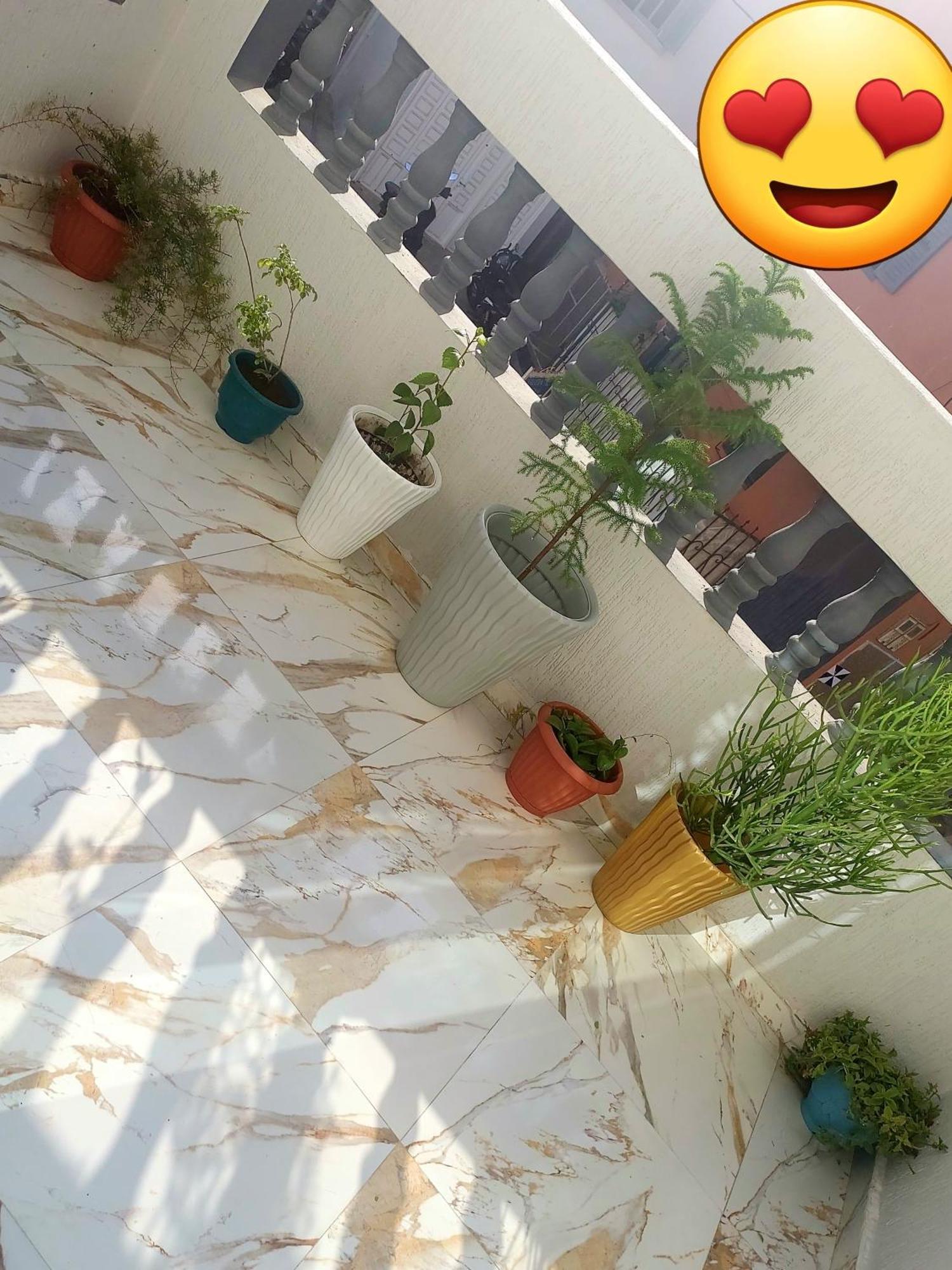 Mogador Appartements T6 Essaouira Exteriör bild